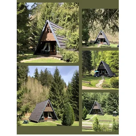 On The Forest Castle *